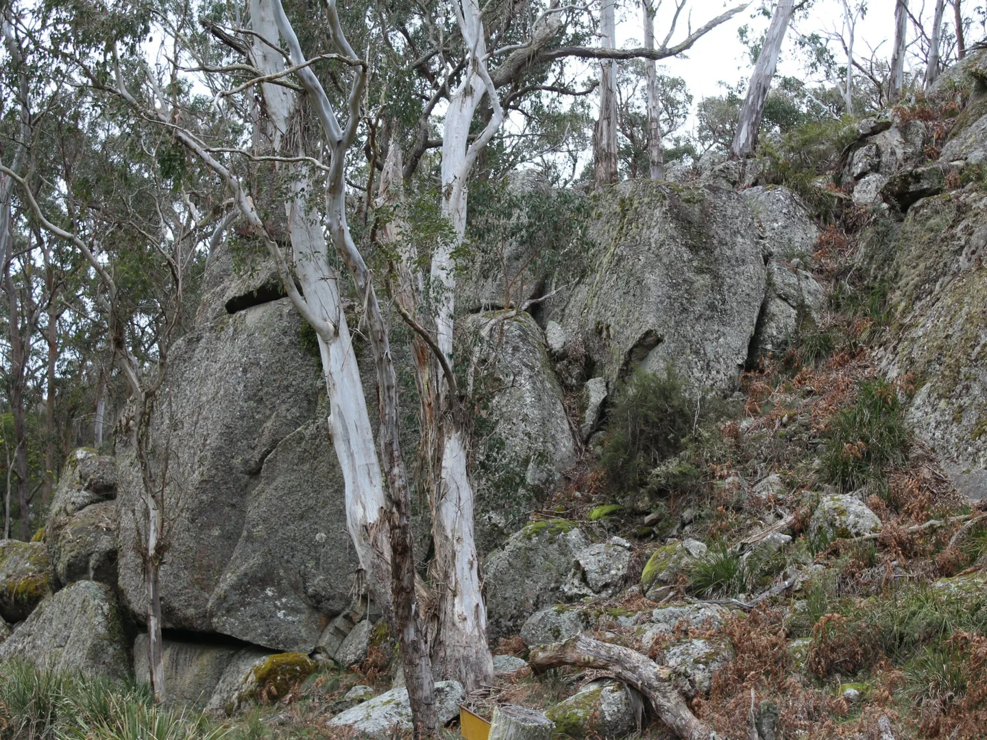Additional image 19 of 1521 Morven Road, Dundee NSW 2370
