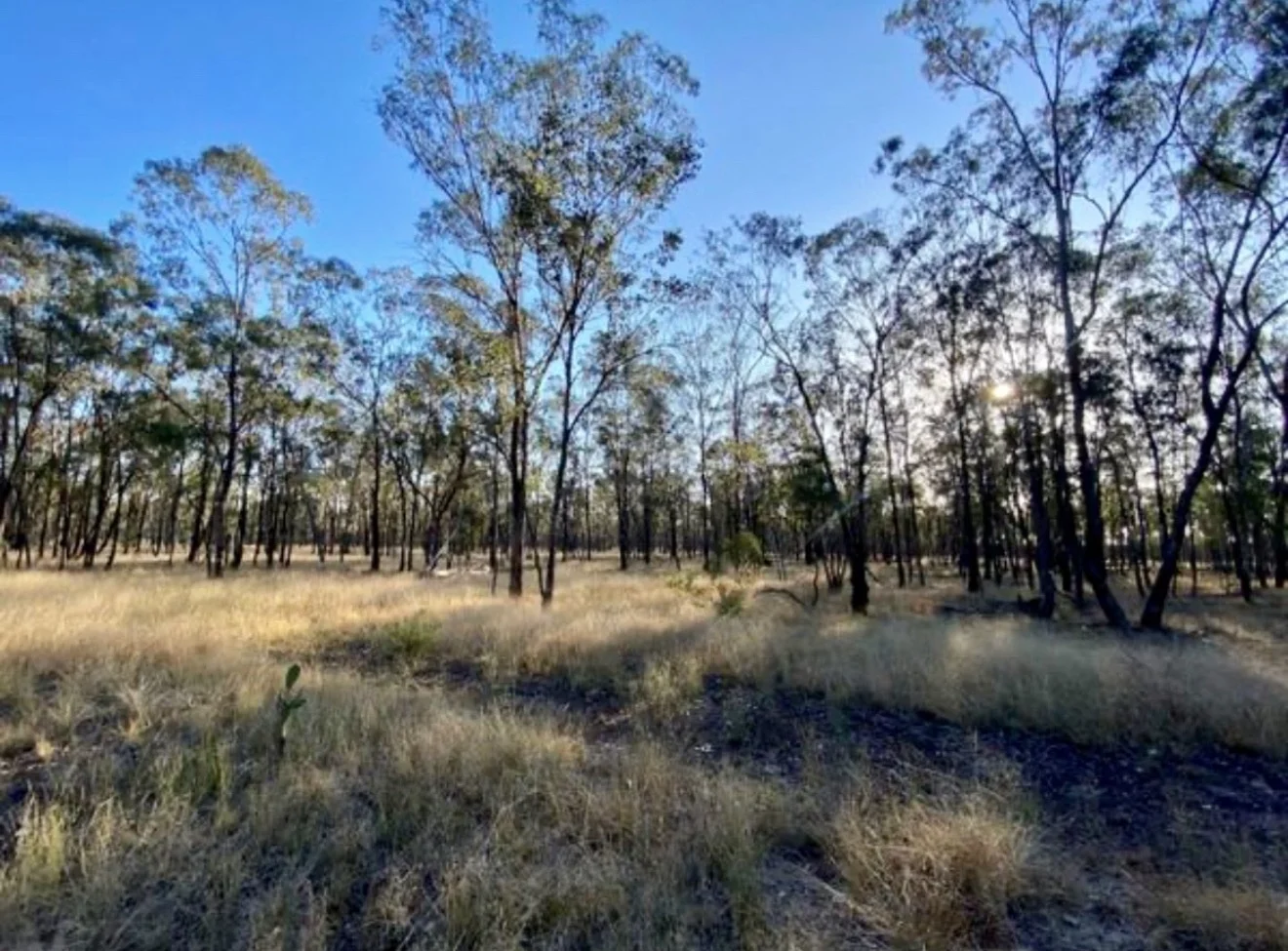 Additional image 3 of 3987 Chinchilla Tara Road, Tara QLD 4421