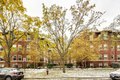 Additional image 4 of 632 Hinman Ave, Evanston, IL, 60202