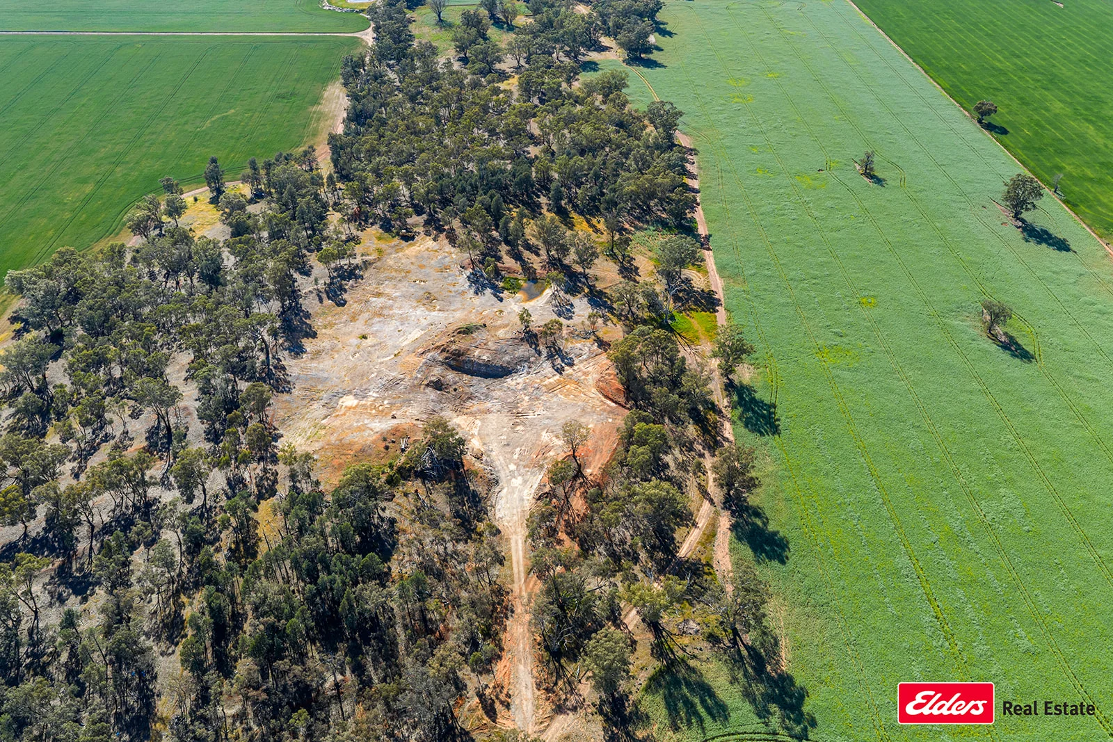 Additional image 10 of 223 Morans Road, Bribbaree NSW 2594