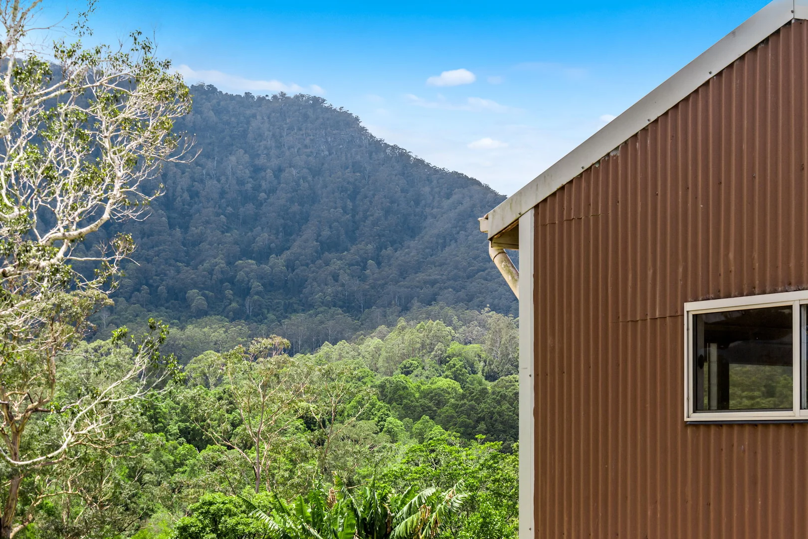 Additional image 35 of 442 Blue Knob Road, Nimbin NSW 2480