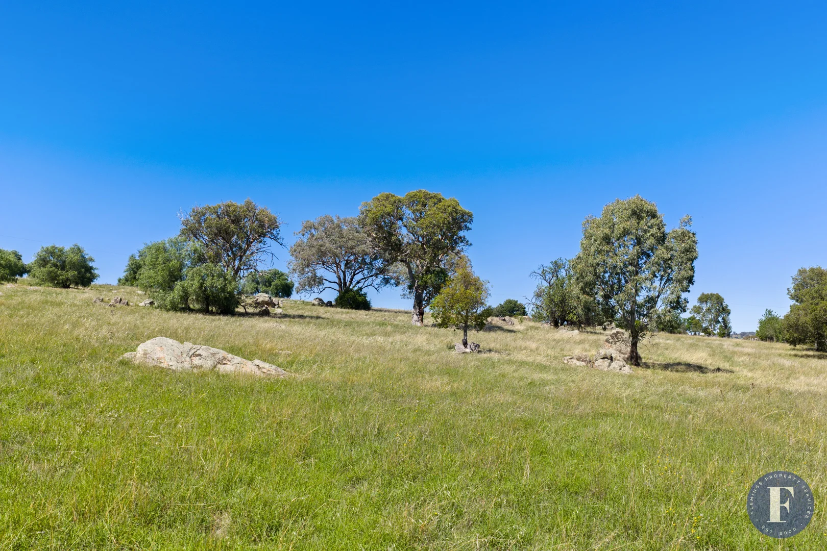 Additional image 12 of 130 Allandale Road, Young NSW 2594