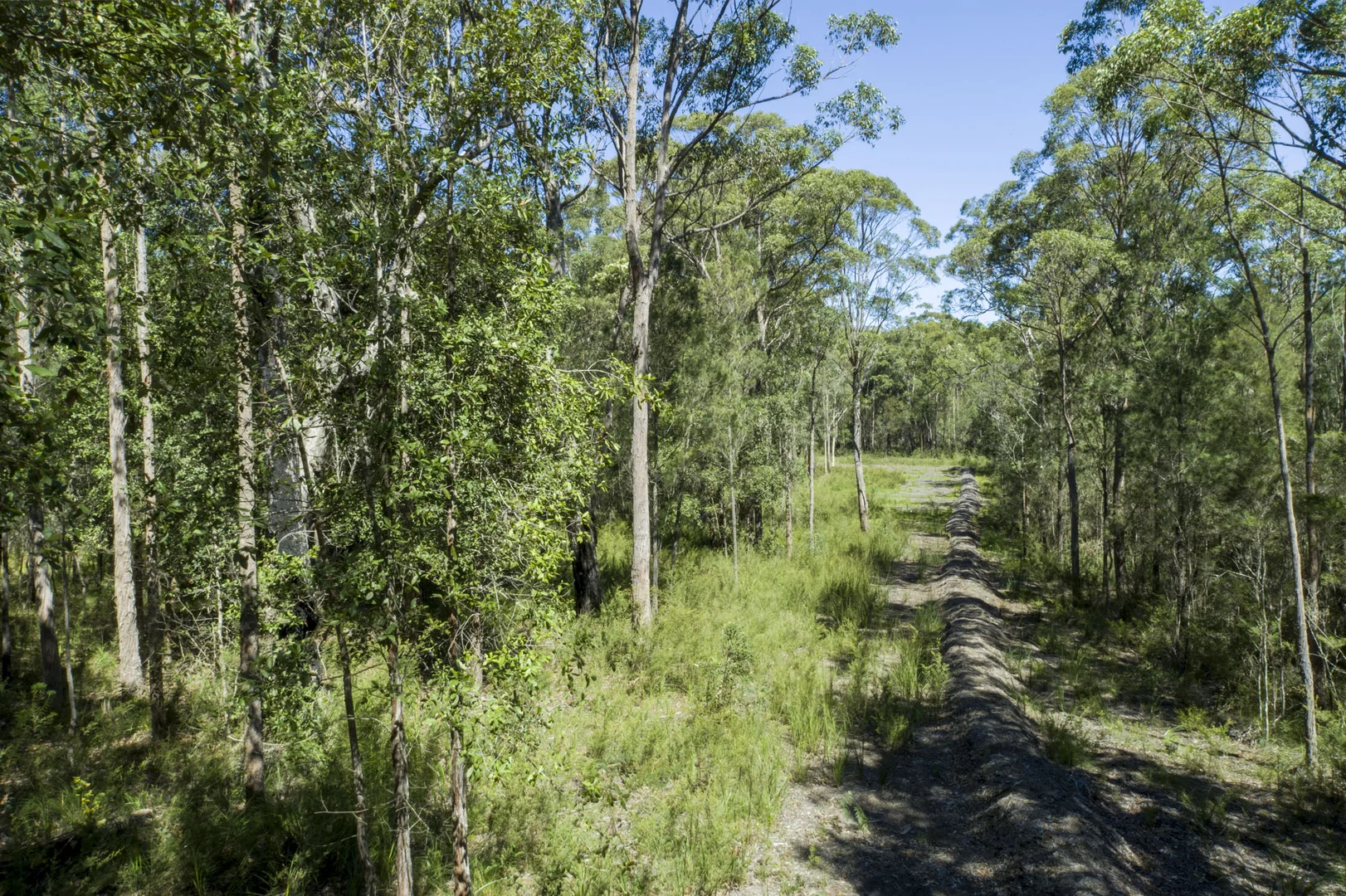 Additional image 24 of Lot 2 Parnell Road, Tomerong NSW 2540