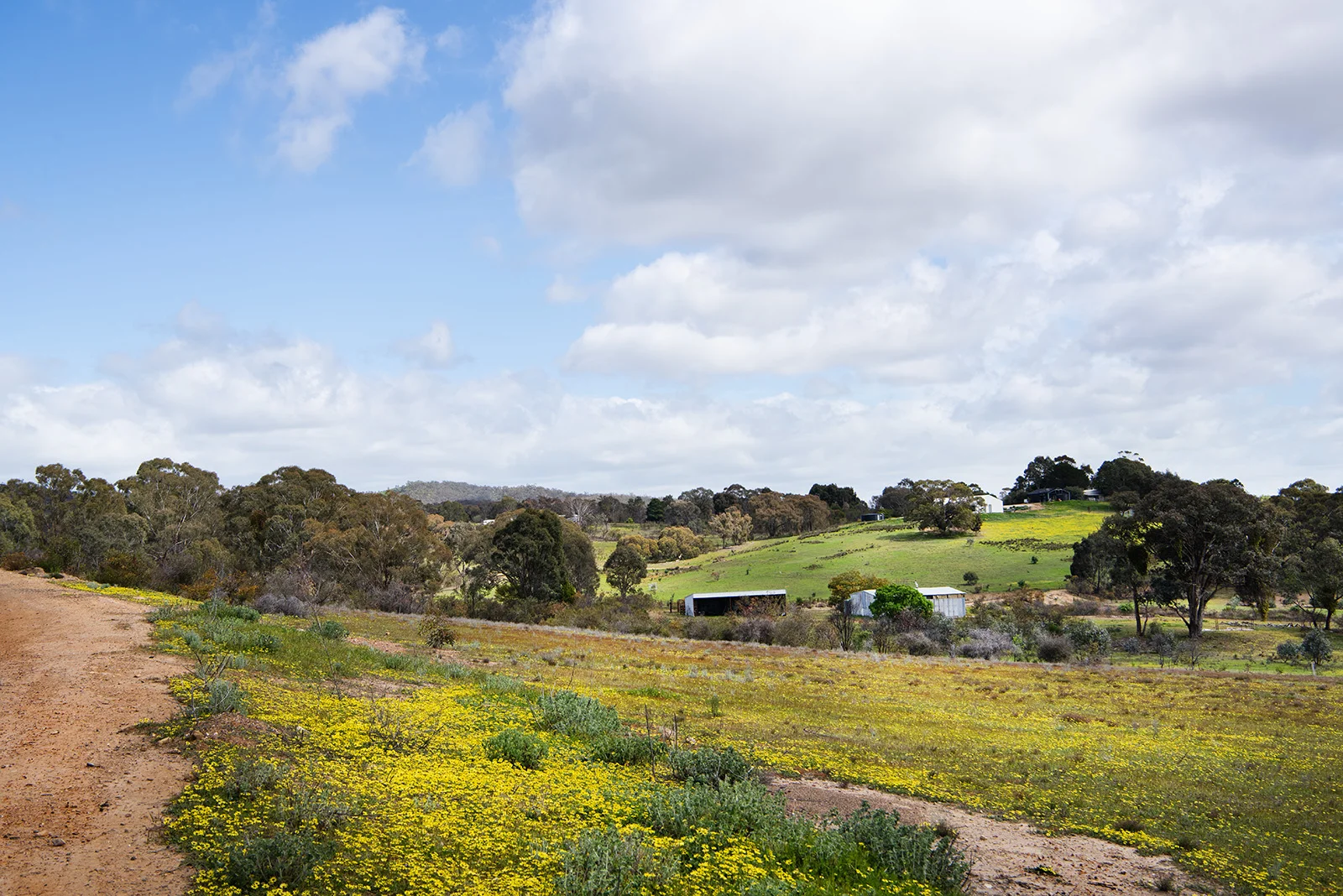 Additional image 9 of 3 Mandurang South Road, Mandurang South VIC 3551