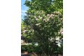 Additional image 30 of 242 Pleasant St, Leominster, MA, 01453