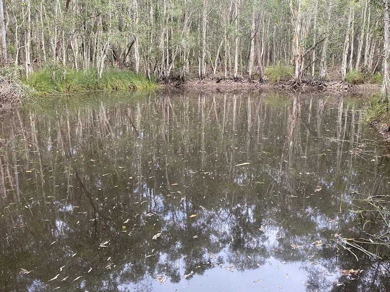 Additional image 3 of 89 Banksia Road, Talegalla Weir QLD 4650