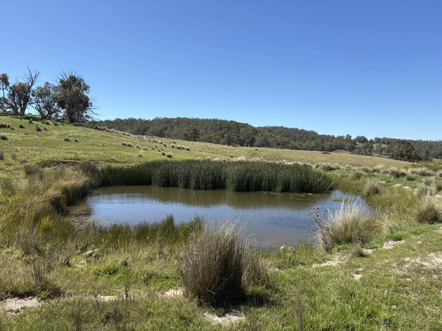 Additional image 18 of Lot 125/125, 175 Tumbledown Road, Peak View NSW 2630