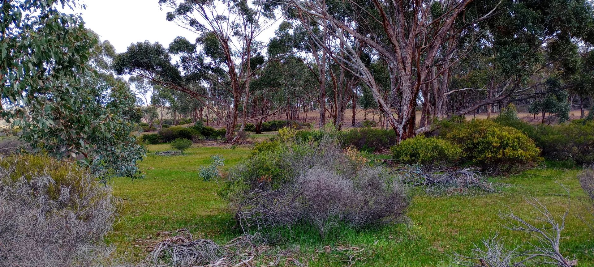 Additional image 6 of Wedderburn VIC 3518