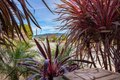 Additional image 18 of 501 Tuttle Ave, Watsonville, CA, 95076