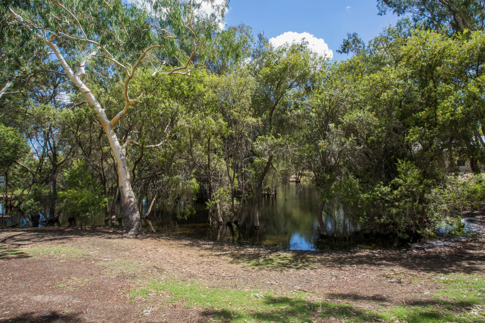 Additional image 26 of 7/59 Rosher Road, Lockridge WA 6054