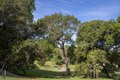 Additional image 51 of 510 Kent St, Petaluma, CA, 94952
