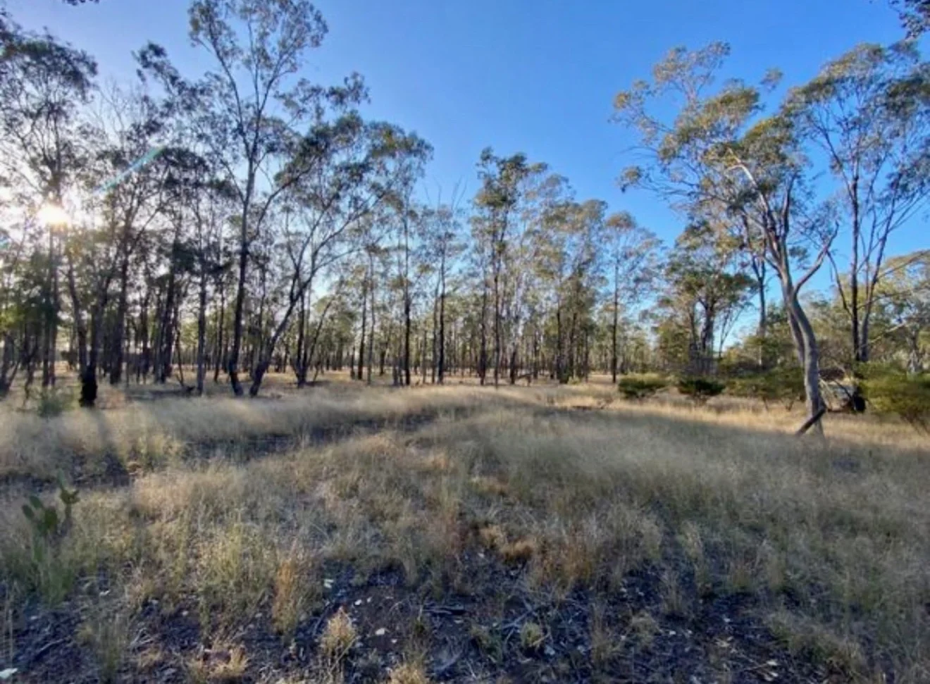 Additional image 4 of 3987 Chinchilla Tara Road, Tara QLD 4421