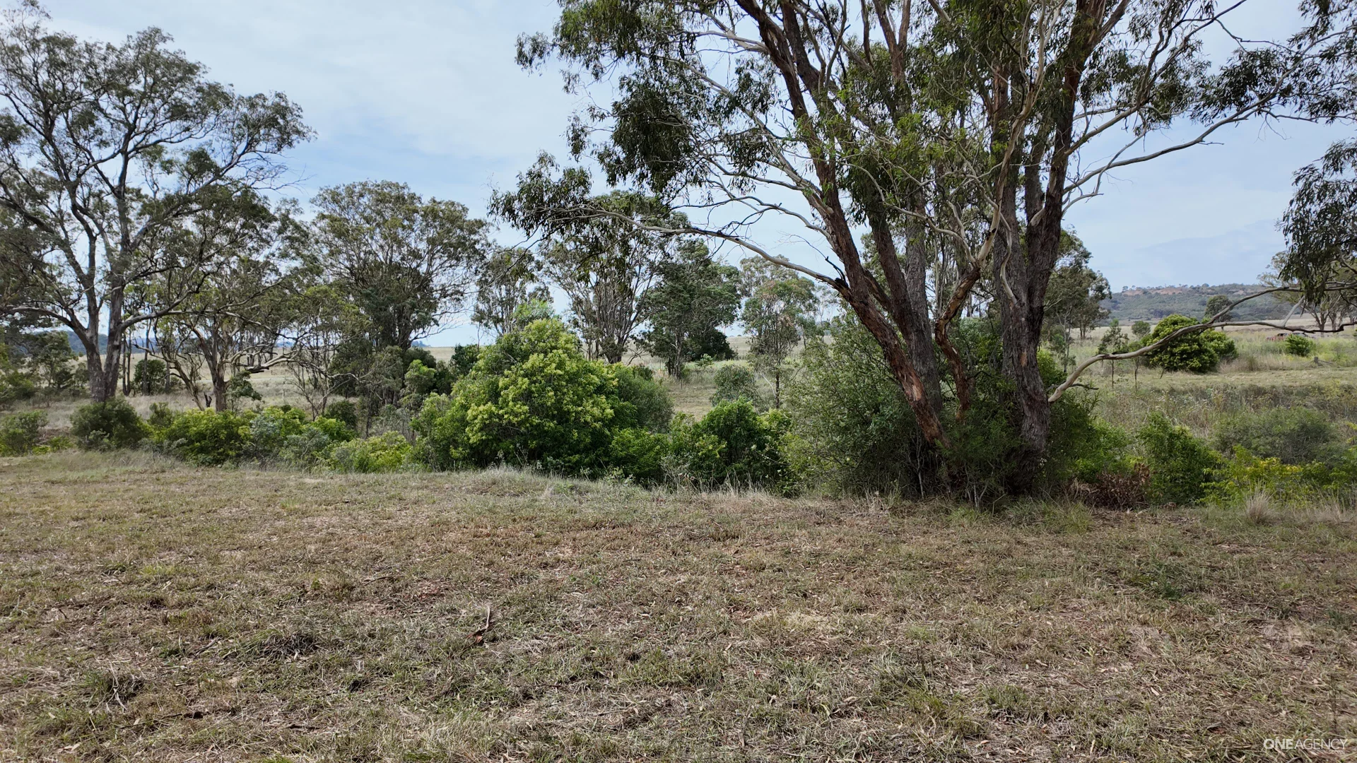 Additional image 5 of Lot 52 New England Highway, Murulla NSW 2337