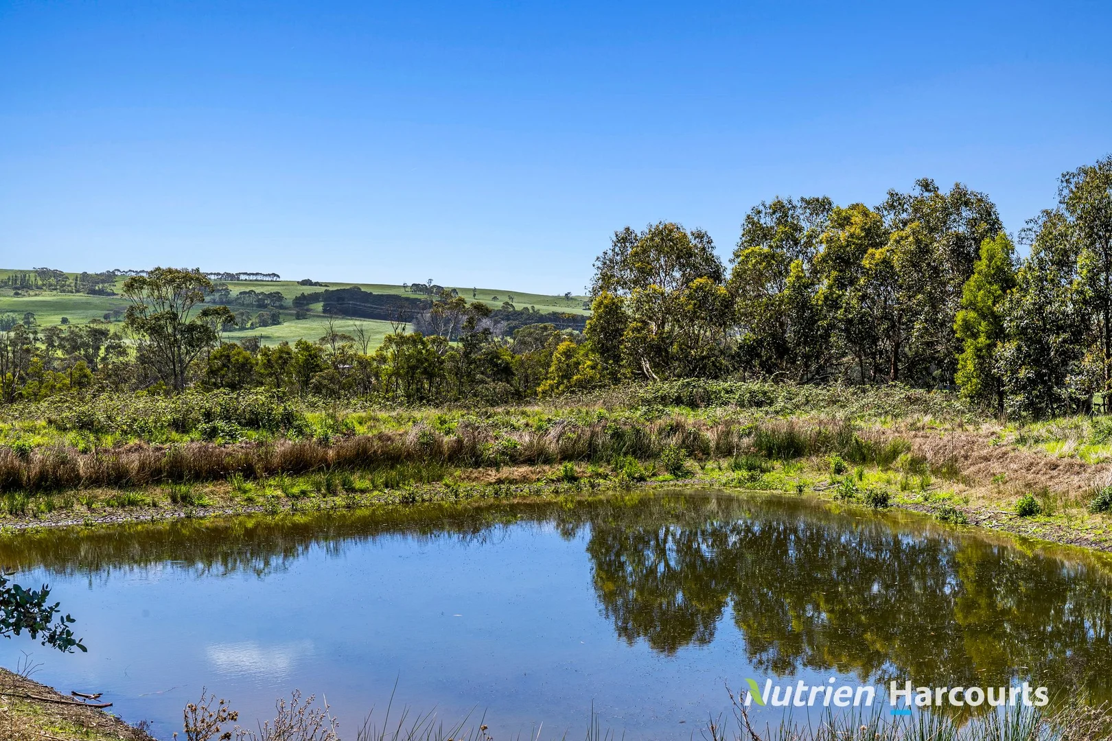 Additional image 6 of Part/880 Timboon - Colac Road, Simpson VIC 3266