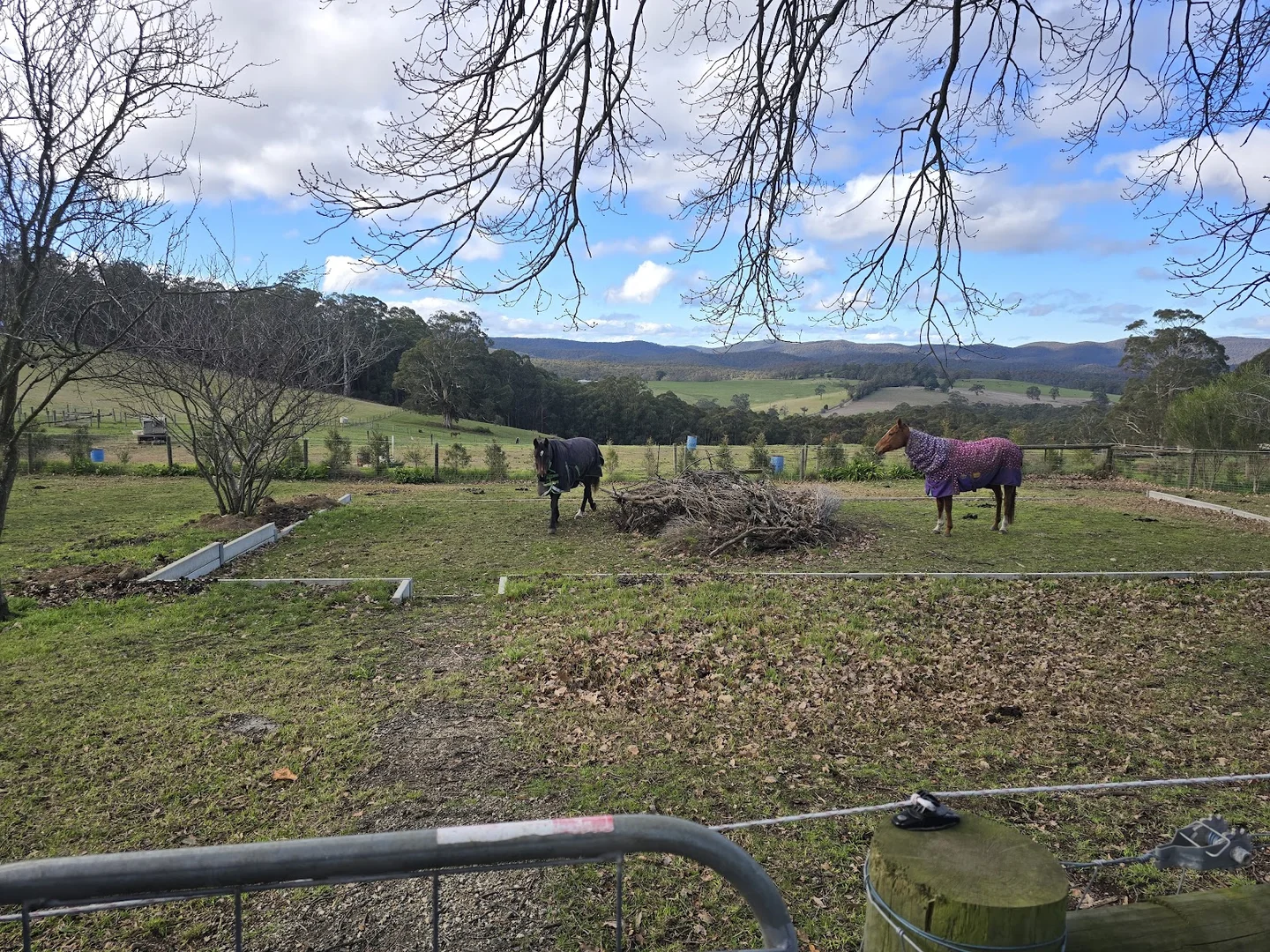 Additional image 2 of 2386 Willow Grove Road, Hill End VIC 3825