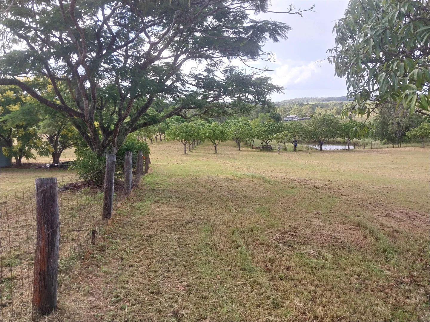 Additional image 22 of 22 Mingo Road, Morganville QLD 4671