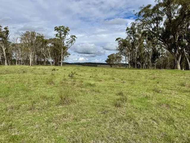 Additional image 4 of 5440 Mount Lindesay Road, Liston NSW 2372