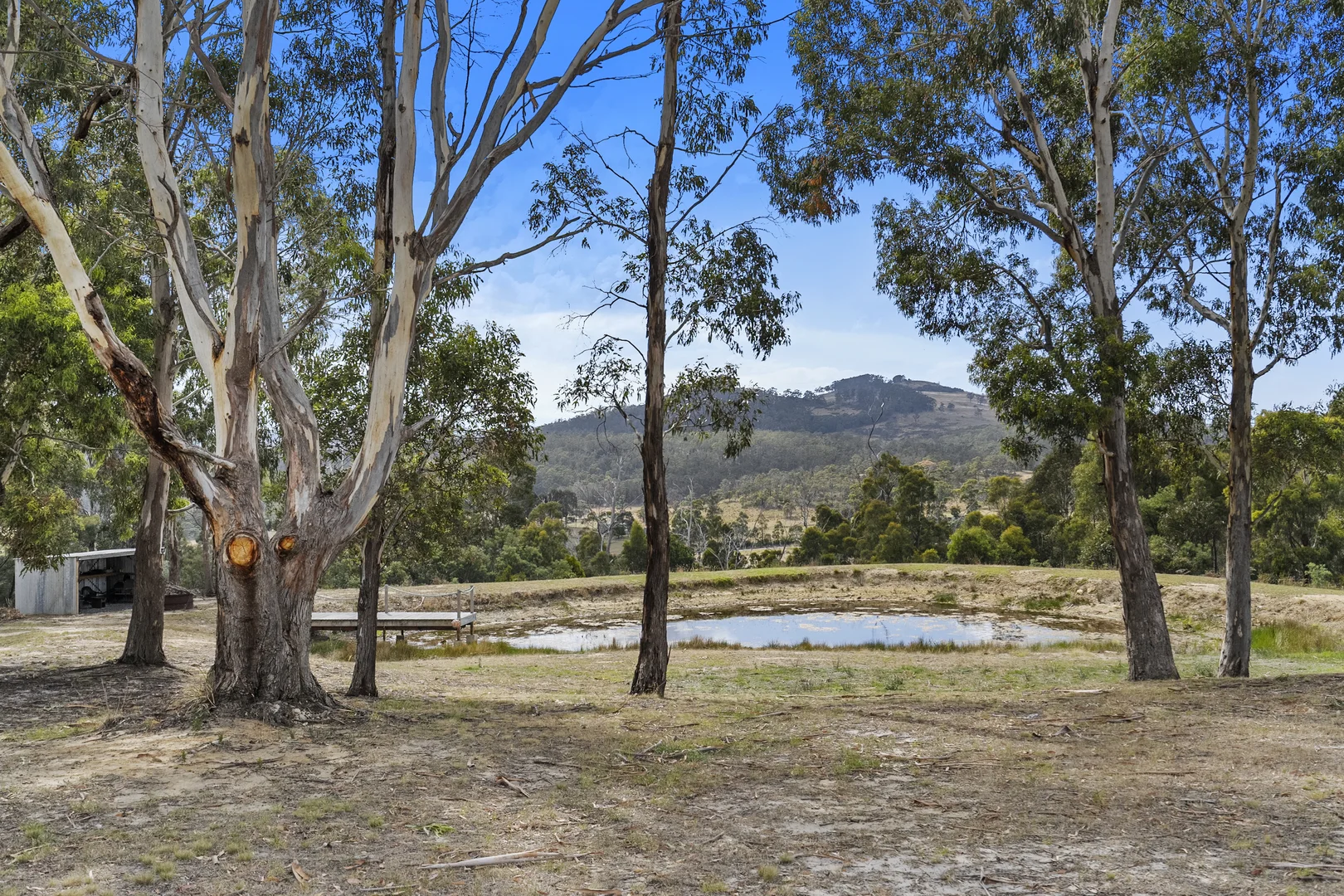 Additional image 29 of 94 Blue Hills Road, Copping TAS 7174