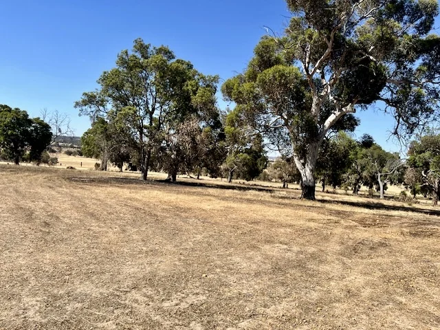 Additional image 13 of 1271 Dobaderry Road, York WA 6302