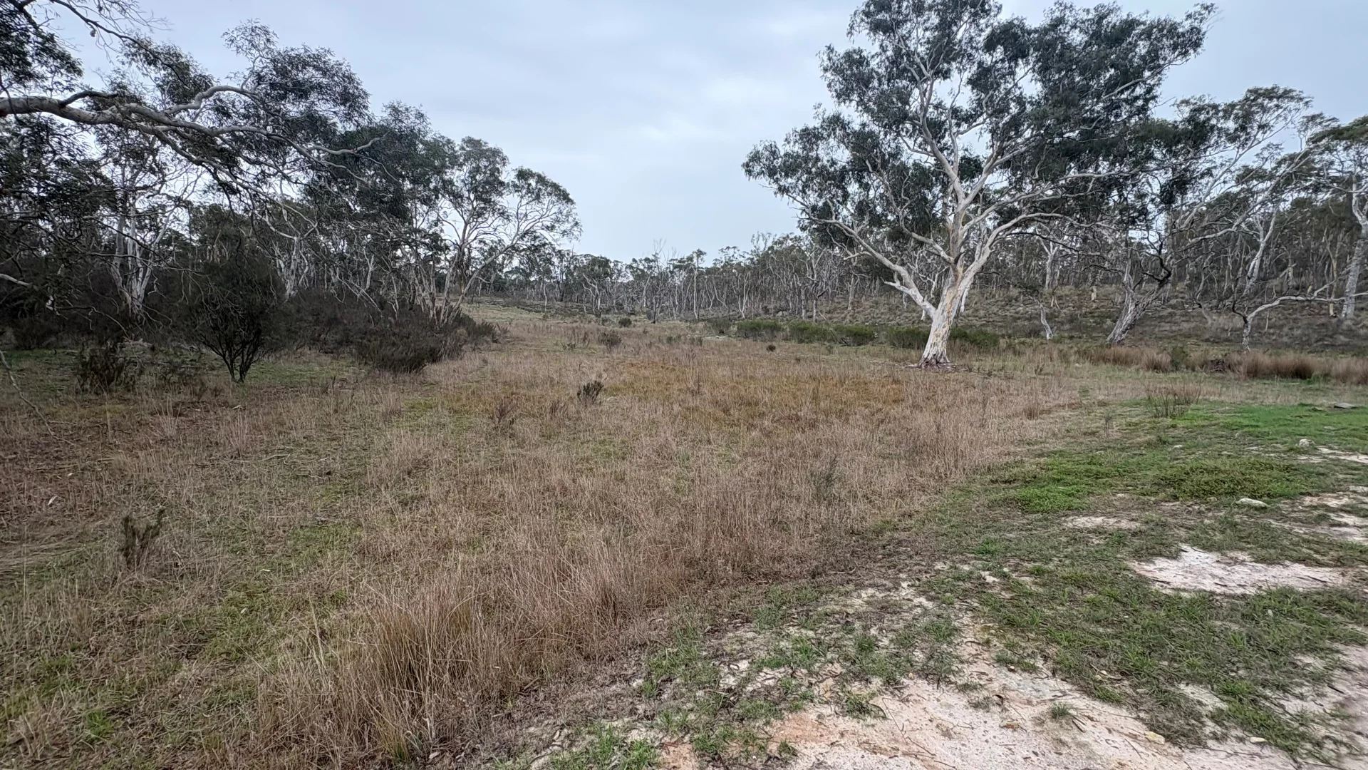 Additional image 10 of 111 Farringdon Road, Braidwood NSW 2622