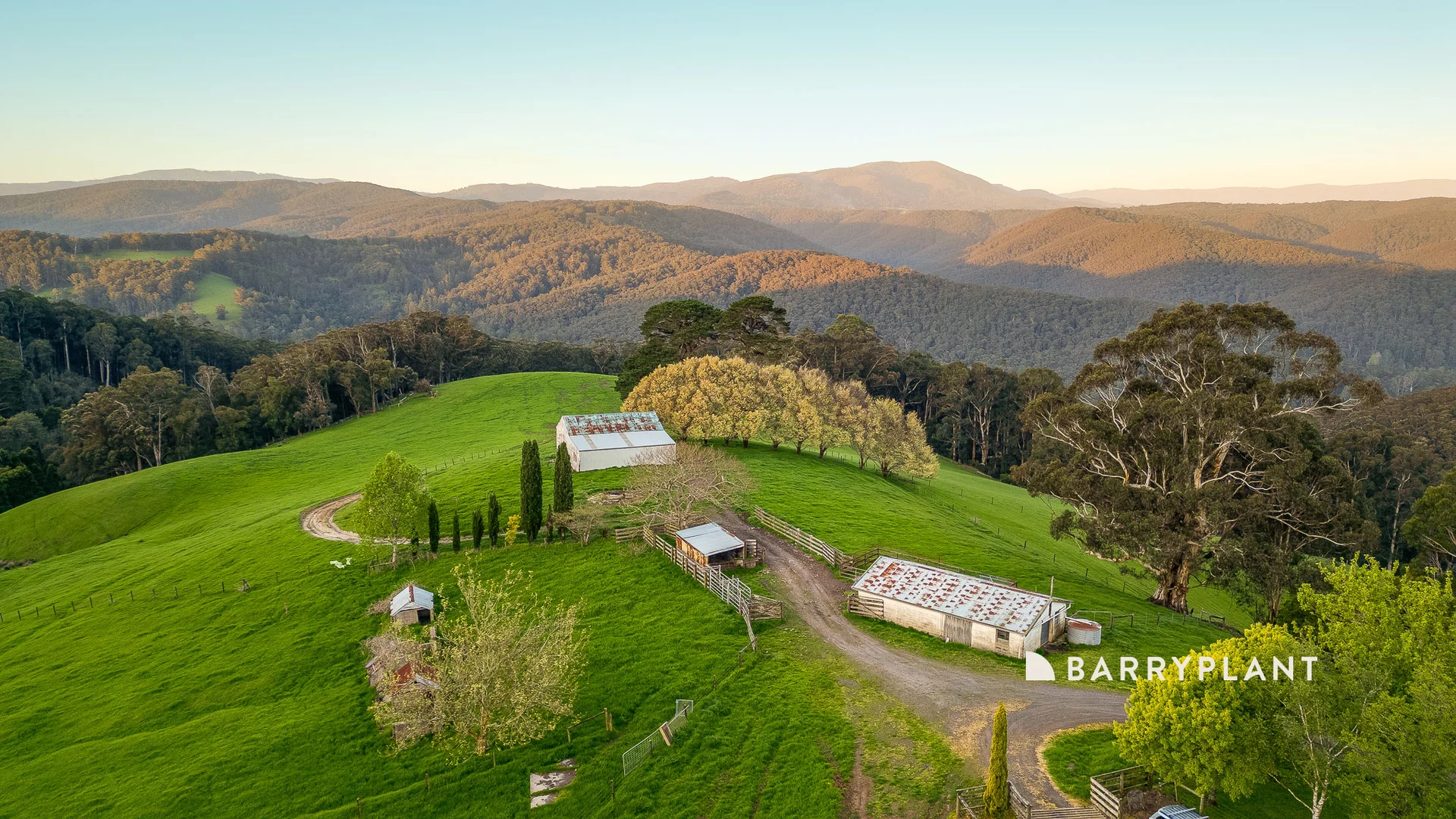 53 Kuhnell Road, Neerim North VIC 3832 photo 5