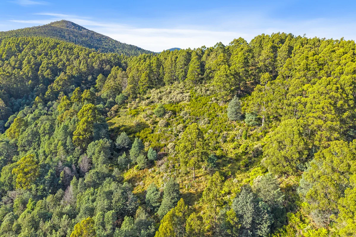 Additional image 6 of 3 Nicholls Rivulet Road, Nicholls Rivulet TAS 7112