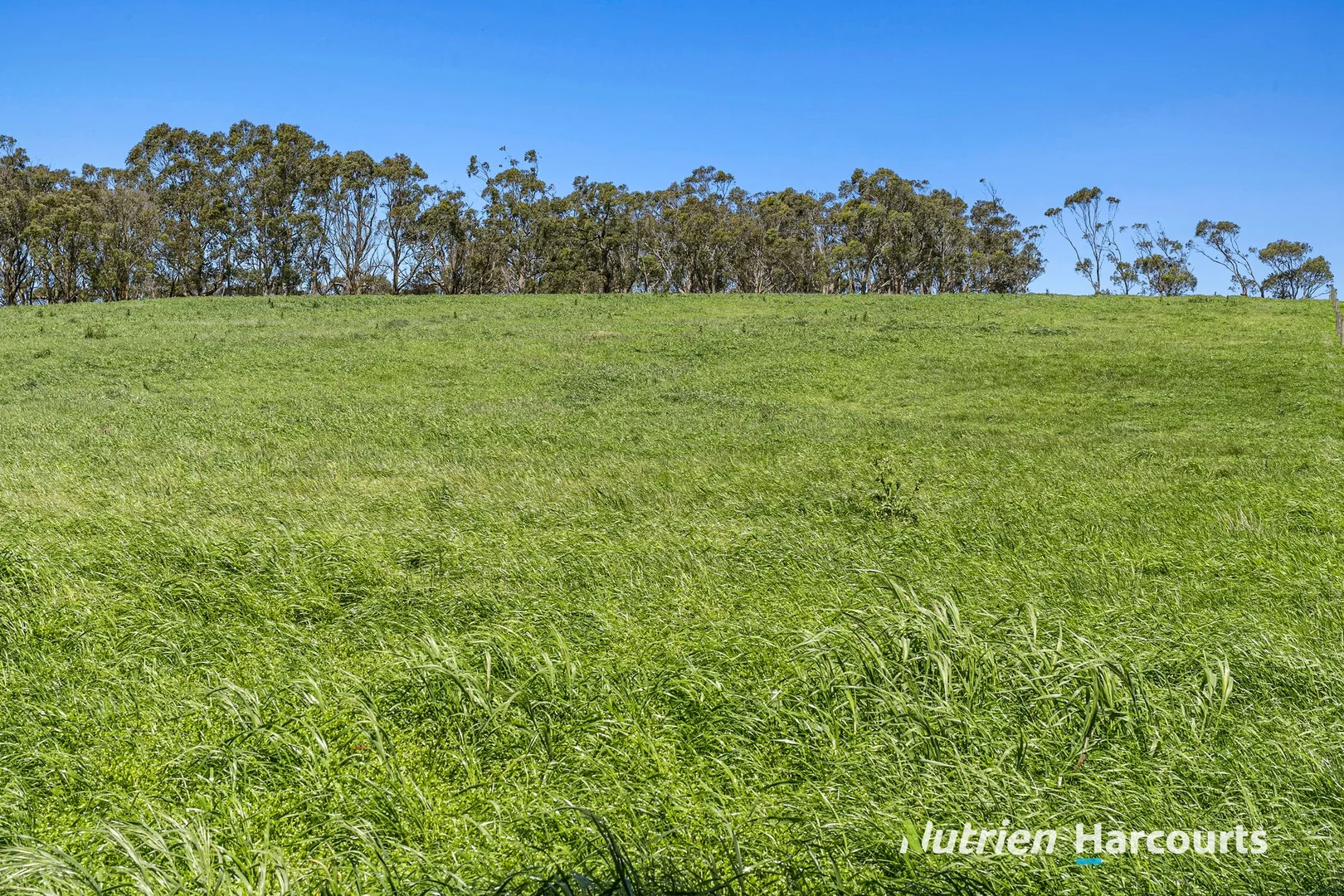 Additional image 10 of Part/880 Timboon - Colac Road, Simpson VIC 3266