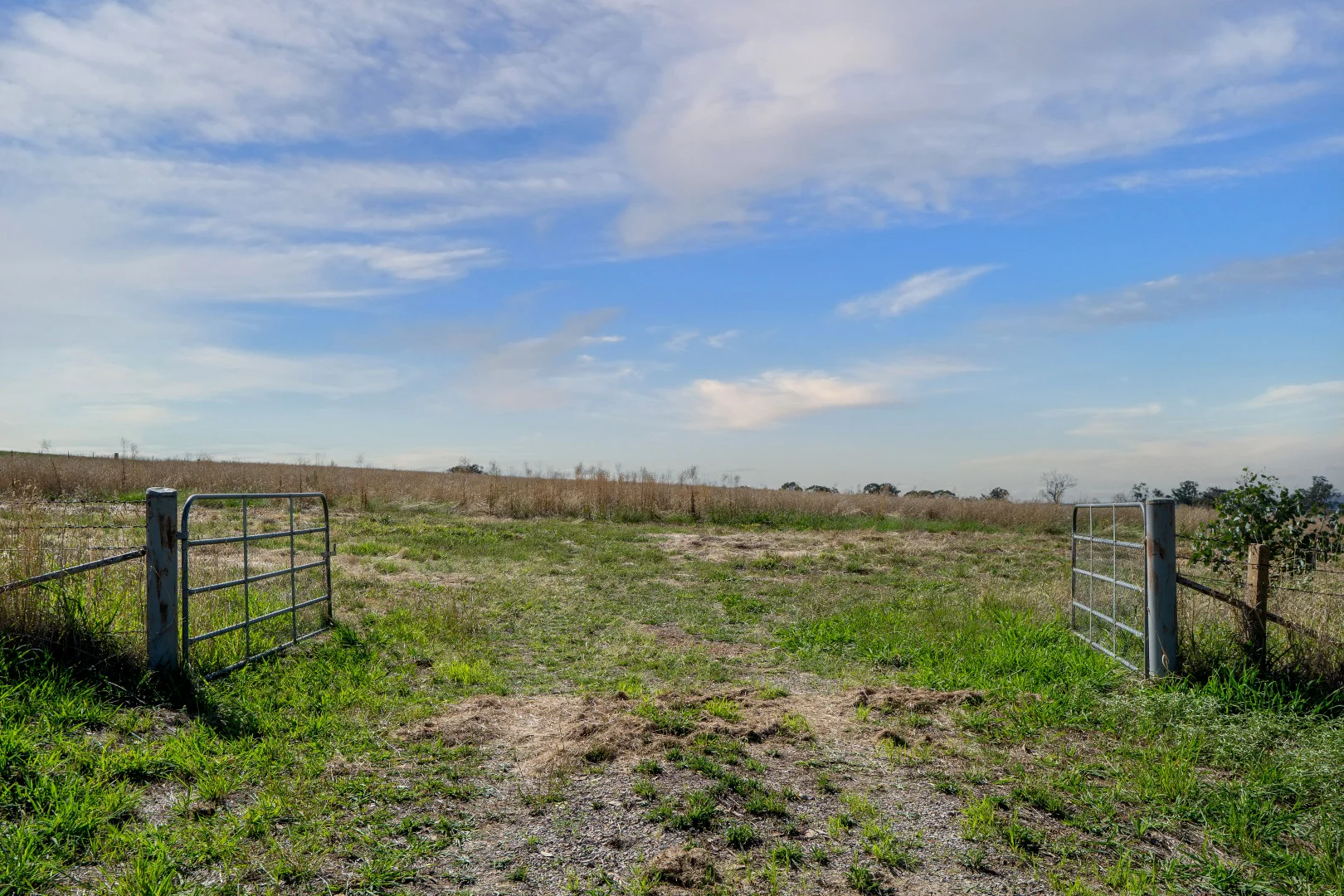 Additional image 2 of 614 Peabody Road, Molong NSW 2866