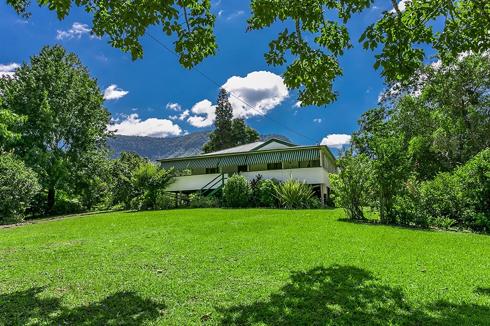 Additional image 3 of 442 Blue Knob Road, Nimbin NSW 2480