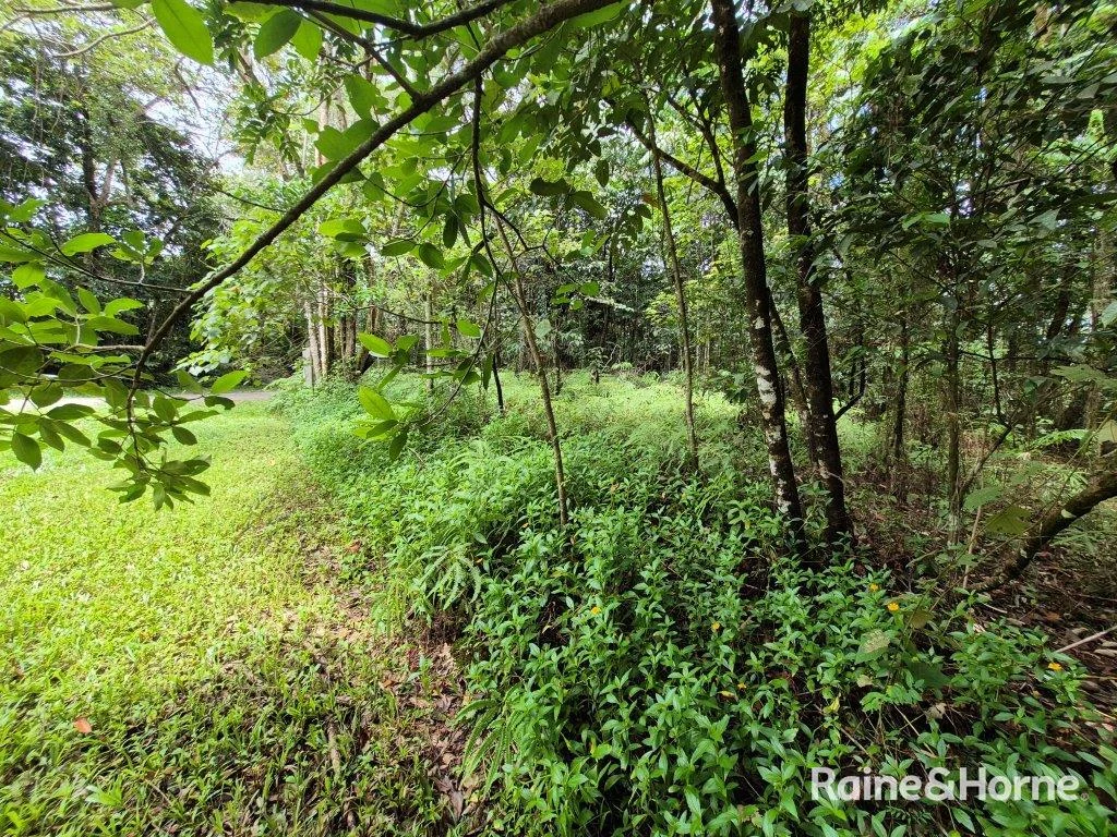 Additional image 4 of Lot 18 George Road, Forest Creek QLD 4873