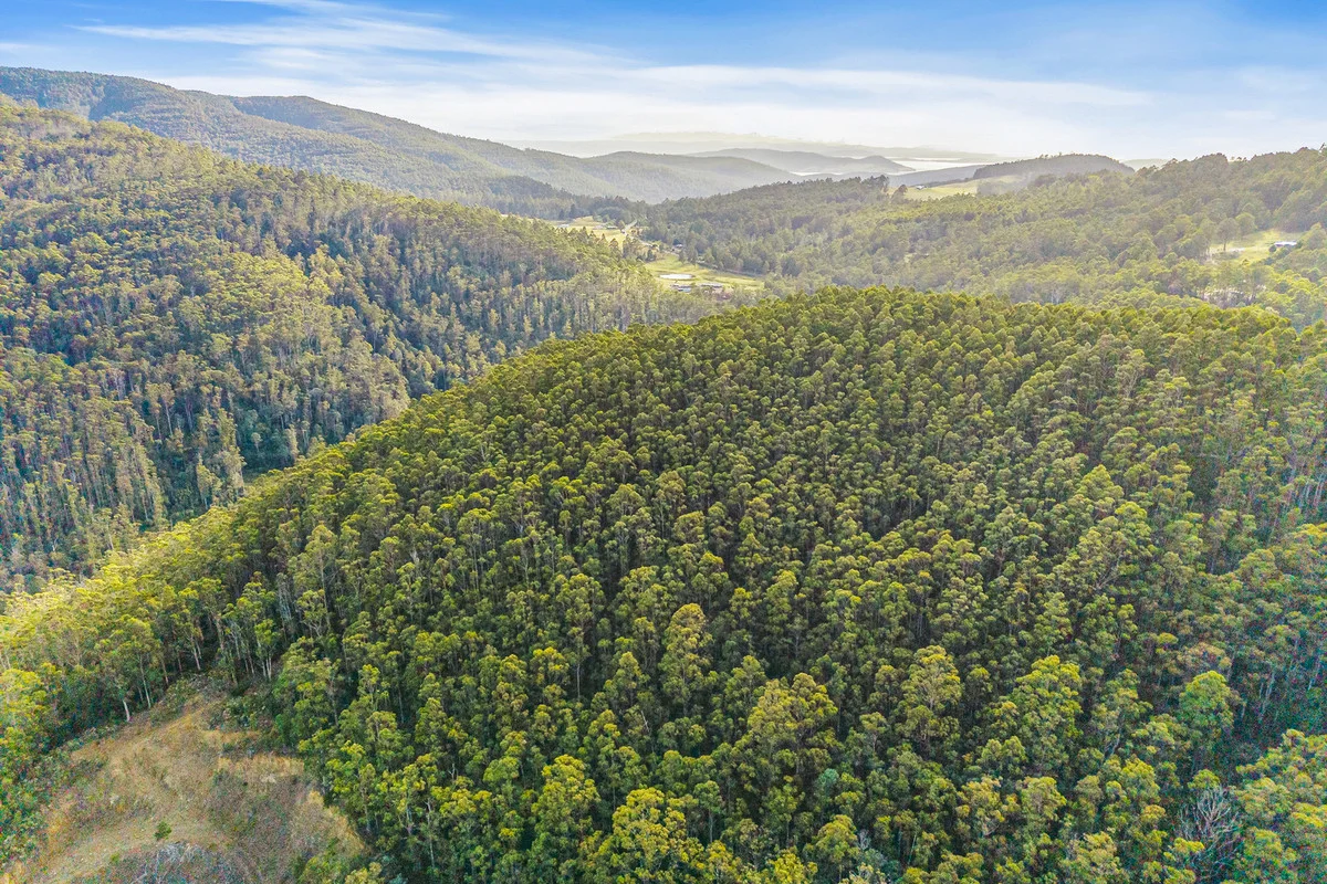 Additional image 13 of 3 Nicholls Rivulet Road, Nicholls Rivulet TAS 7112