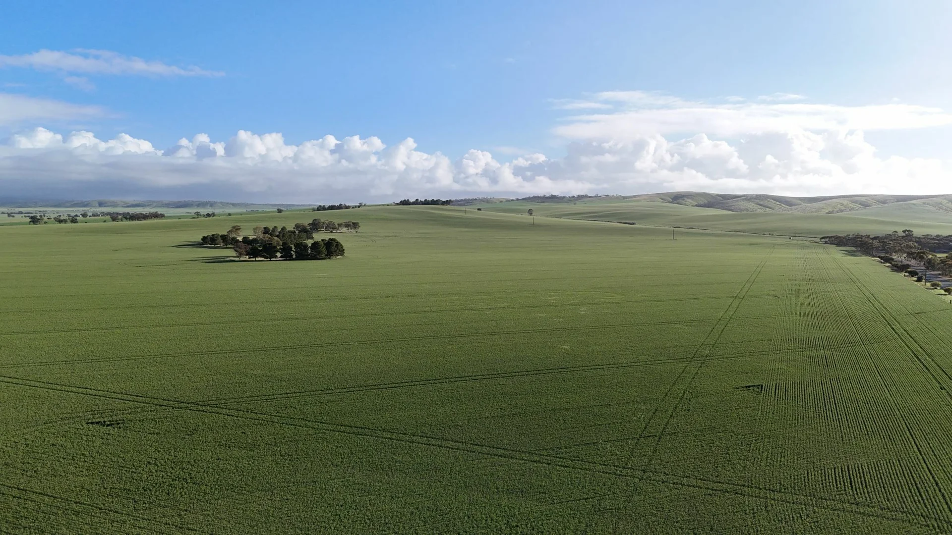 Additional image 3 of 'Crystal Valley' Talbots Road, Crystal Brook SA 5523