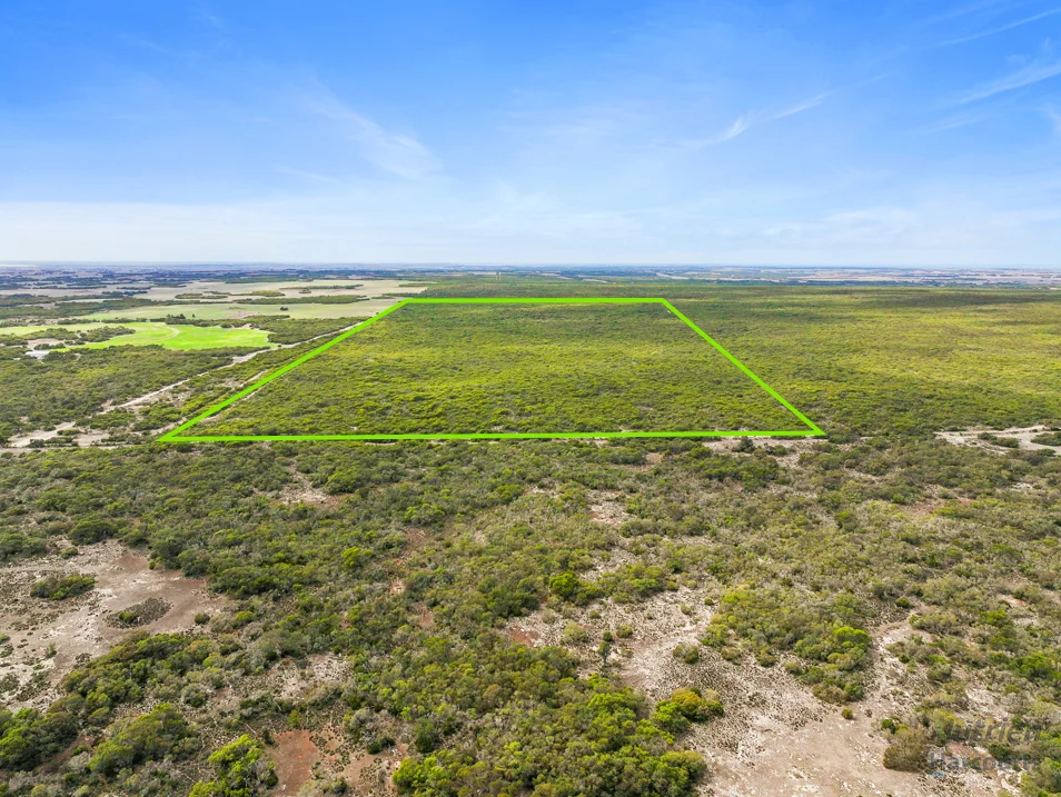 Sect. 230 Levens Road, Warooka SA 5577 photo 5