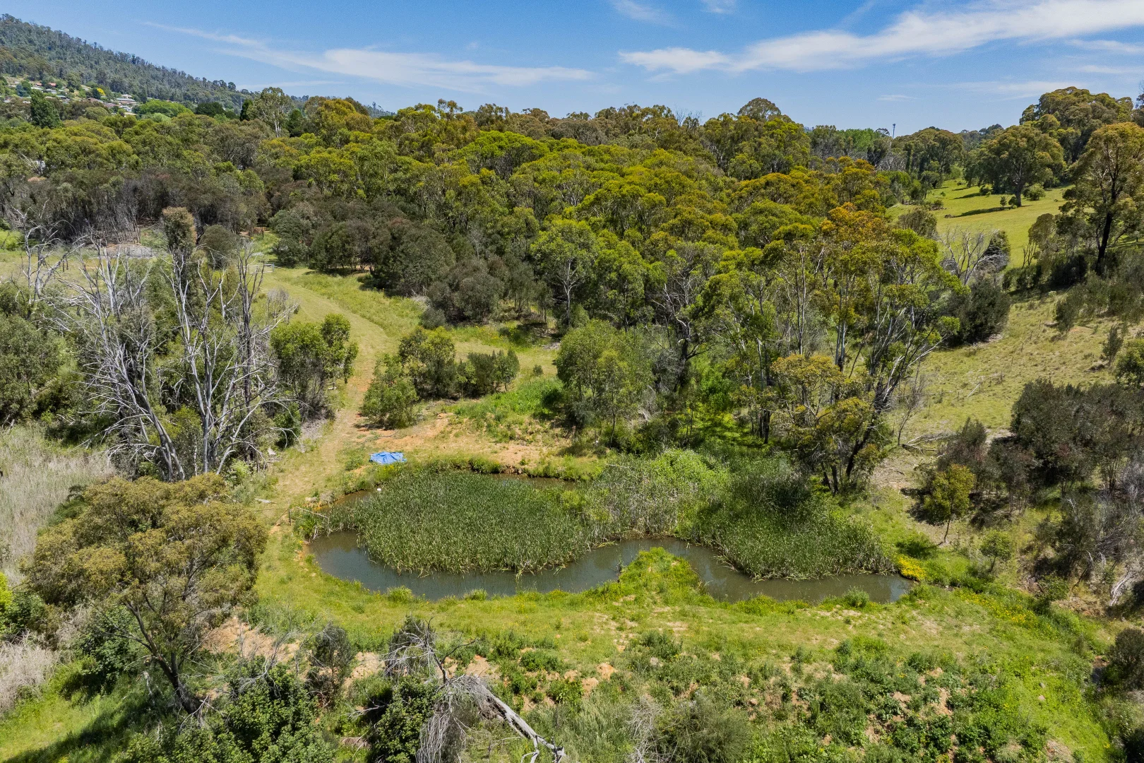 Additional image 36 of 107 Mill Road, Batlow NSW 2730