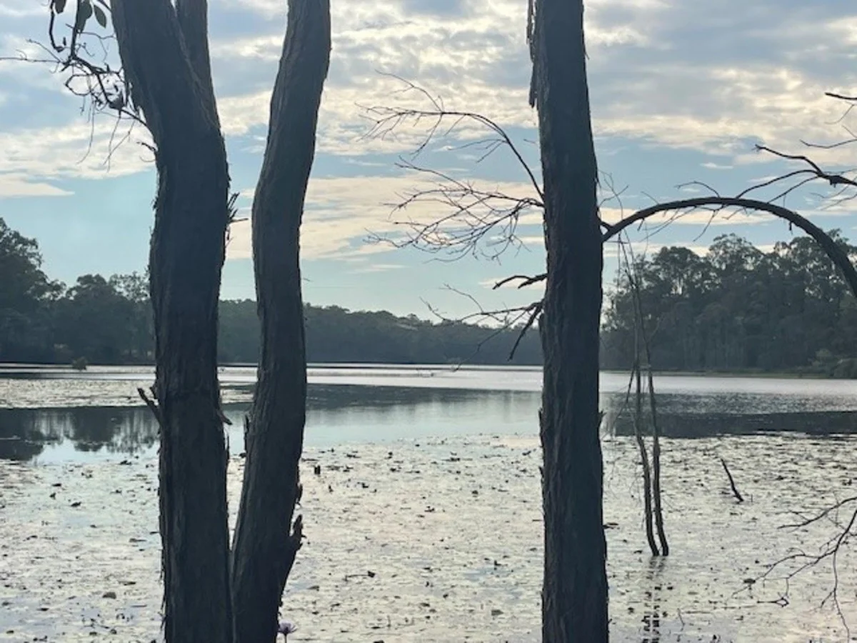 Additional image 13 of Kurwongbah QLD 4503