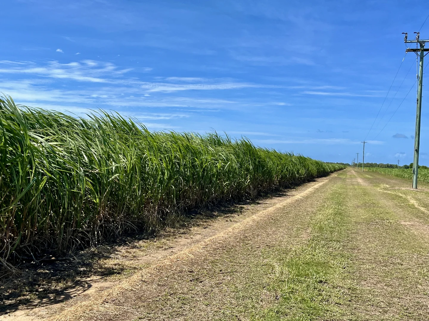 Additional image 9 of 449 Trent Road, Alva QLD 4807