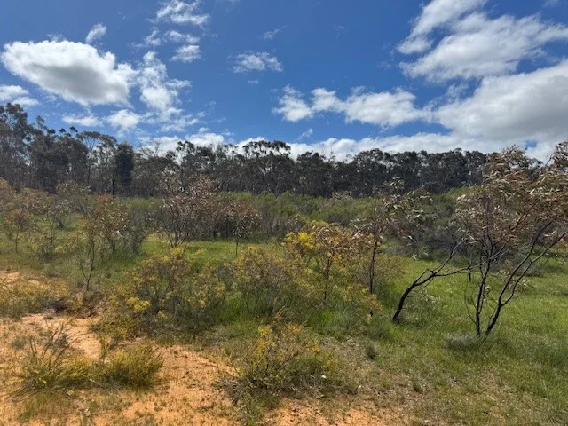 Additional image 2 of Lot 30 Wheelhouse Road, Wehla VIC 3518