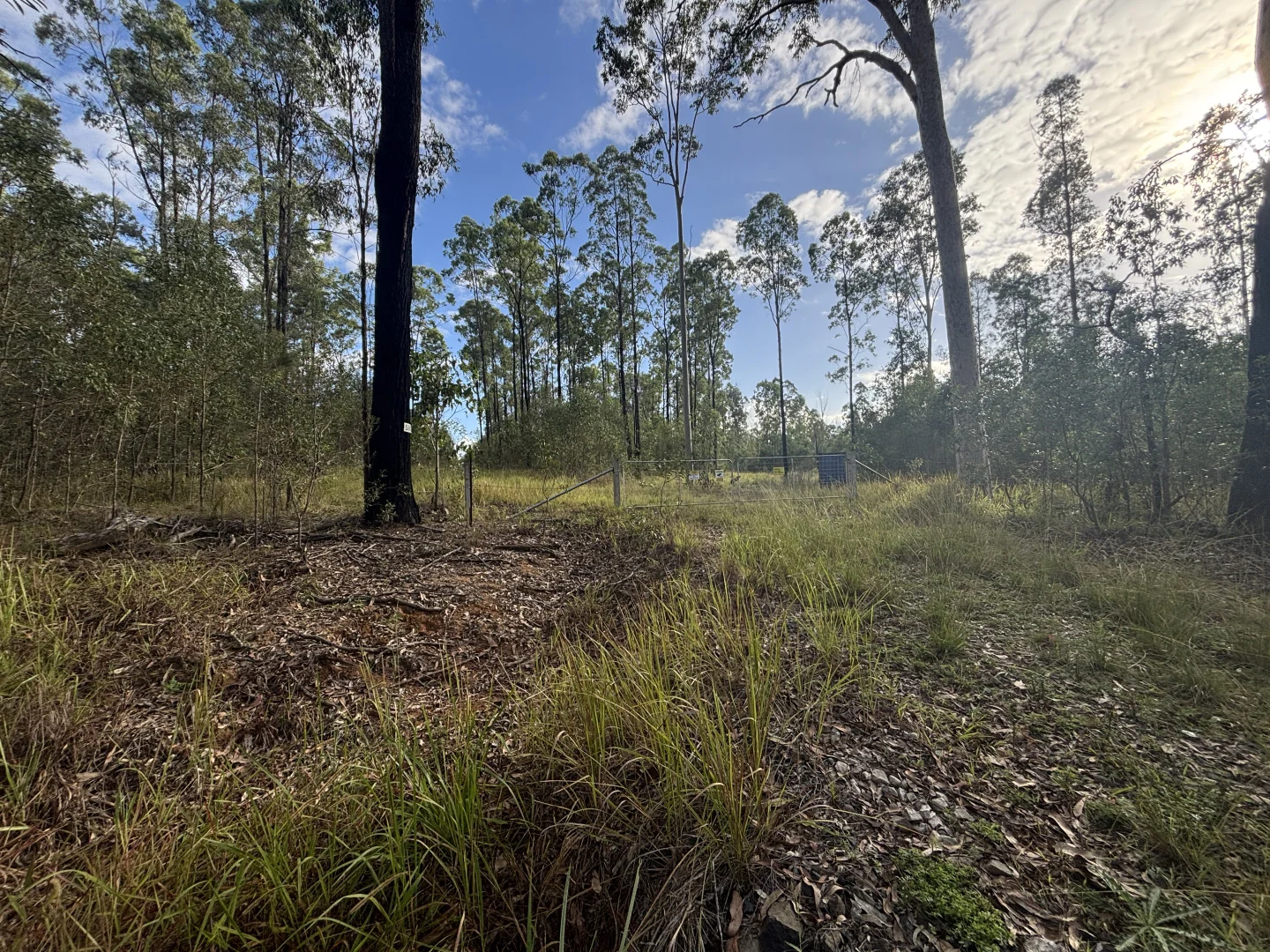 Additional image 5 of 580 Old Tenterfield Road, Camira NSW 2469