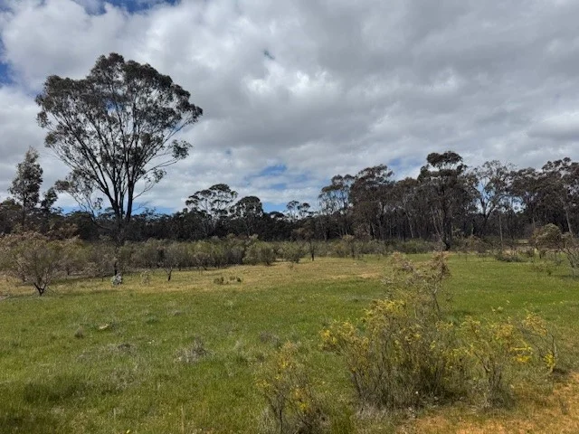 Lot 30 Wheelhouse Road, Wehla VIC 3518