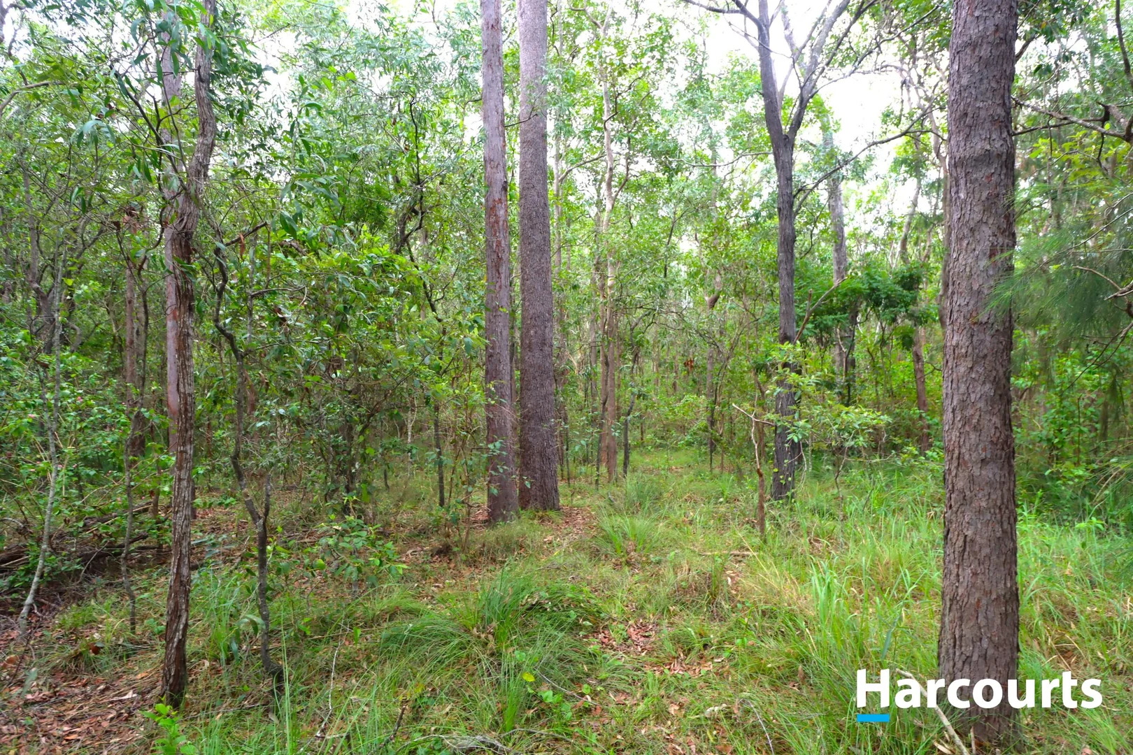 Additional image 5 of Lot 52 Tardas Road, Gregory River QLD 4660