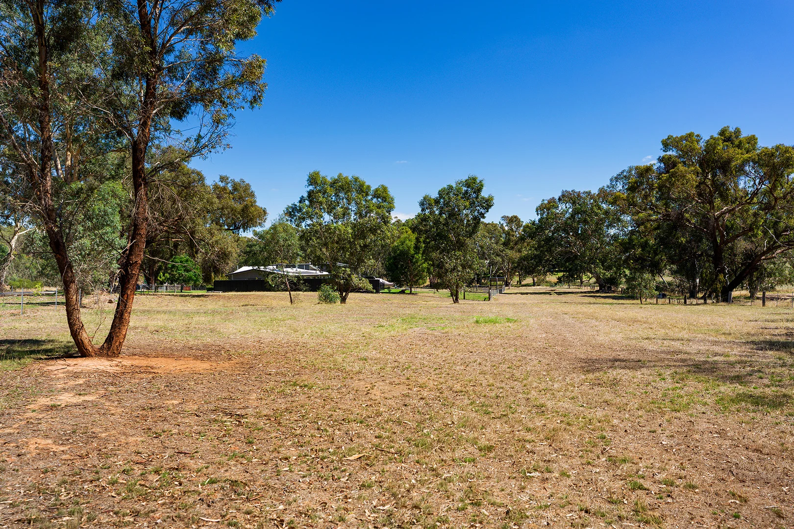 Additional image 7 of CA3, 69A Lyons Street, Newstead VIC 3462