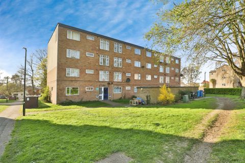 Lefroy Road, Norwich NR3