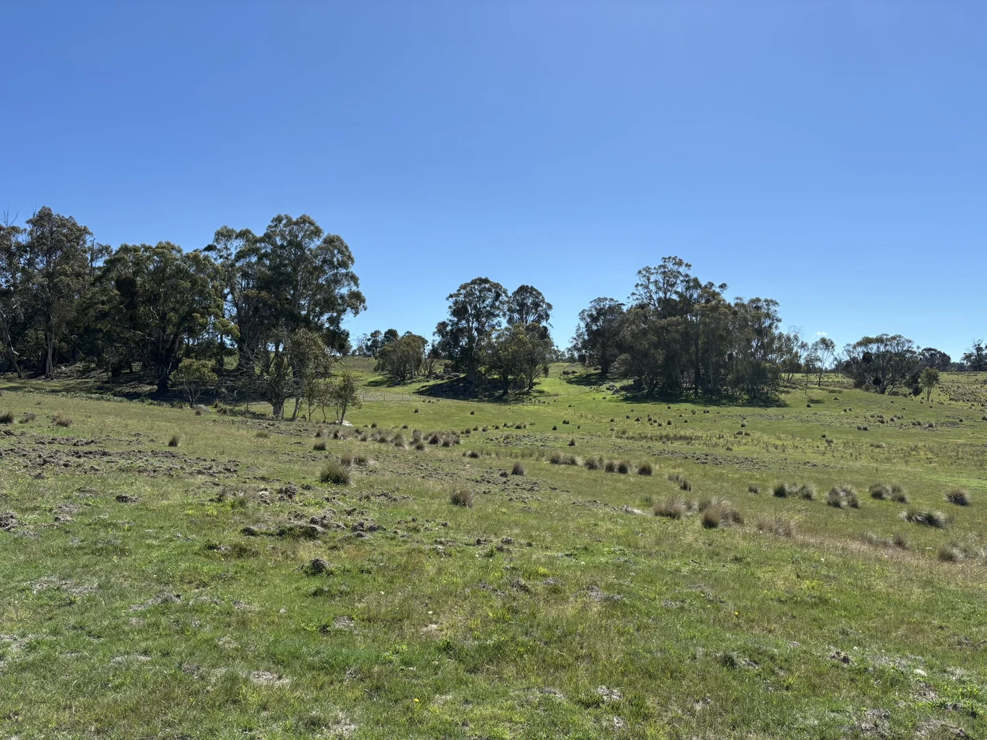 Additional image 17 of Lot 125/125, 175 Tumbledown Road, Peak View NSW 2630