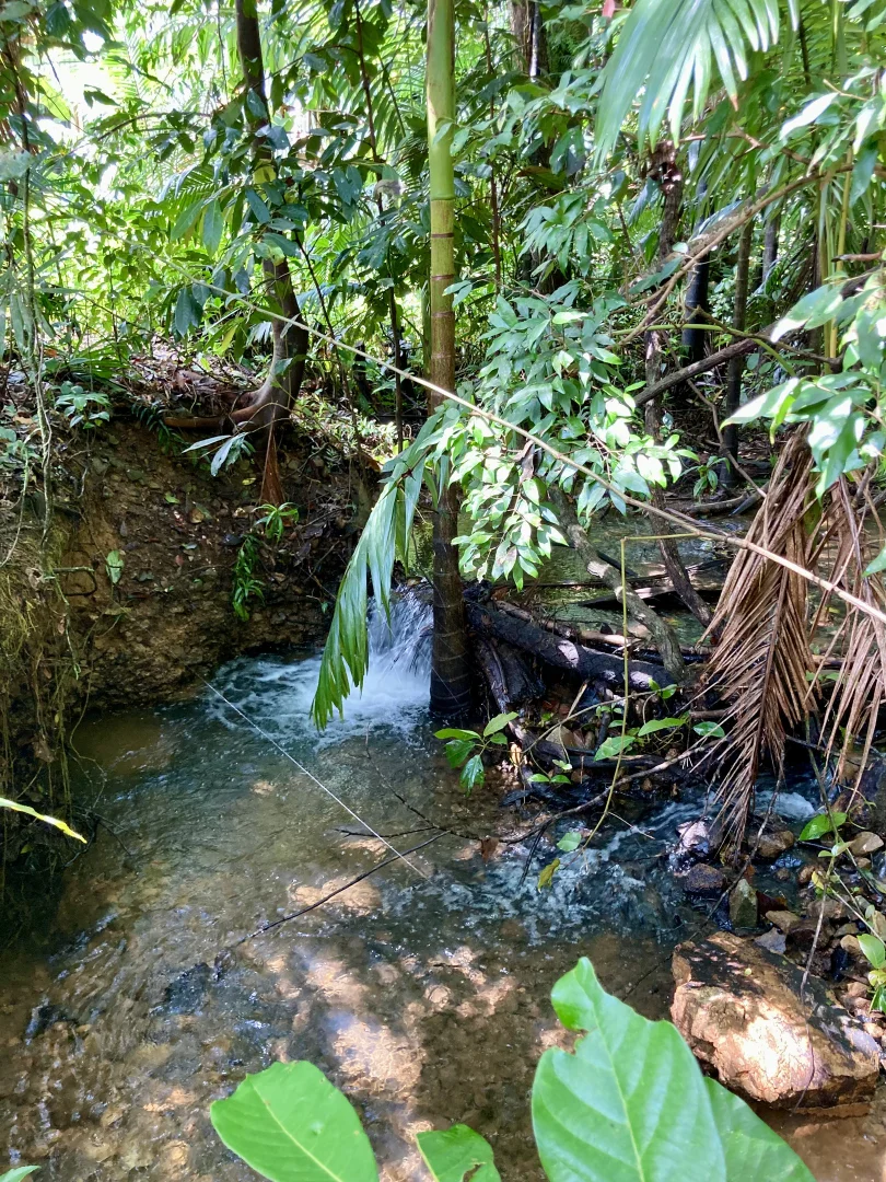 Additional image 10 of Eungella QLD 4757