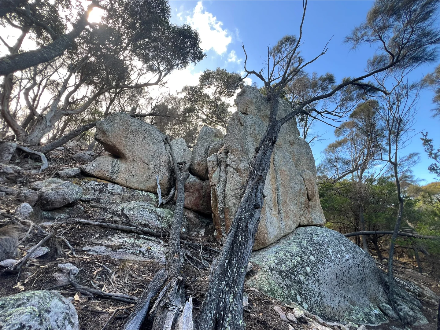 Lot 2 West End Road, Leeka TAS 7255 photo 4
