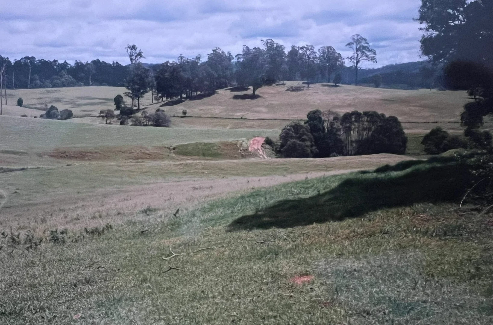 Additional image 18 of 45 Moores Lane, Eungai Creek NSW 2441