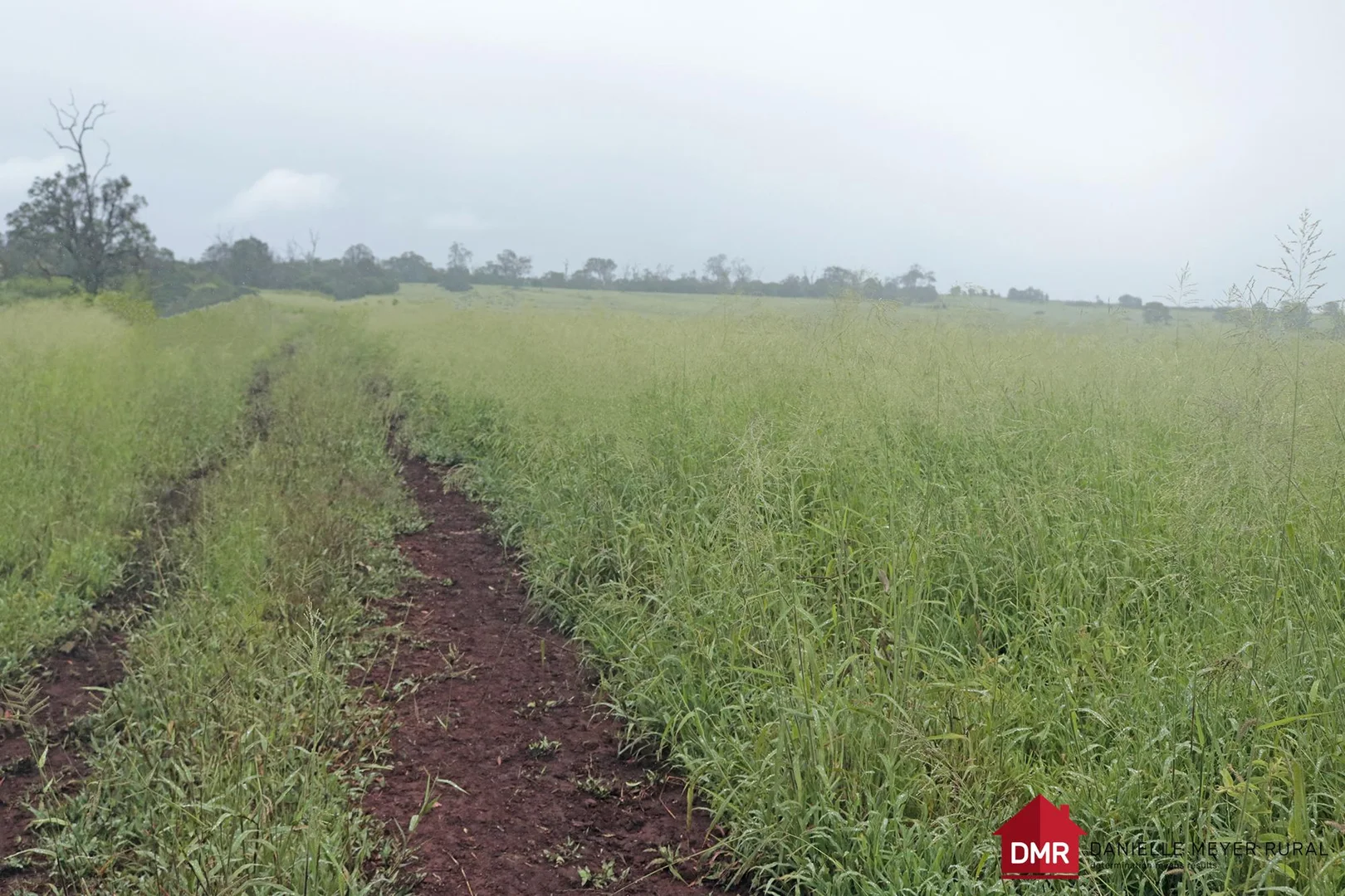 Additional image 14 of 271 McLaughlans Road, Monto QLD 4630