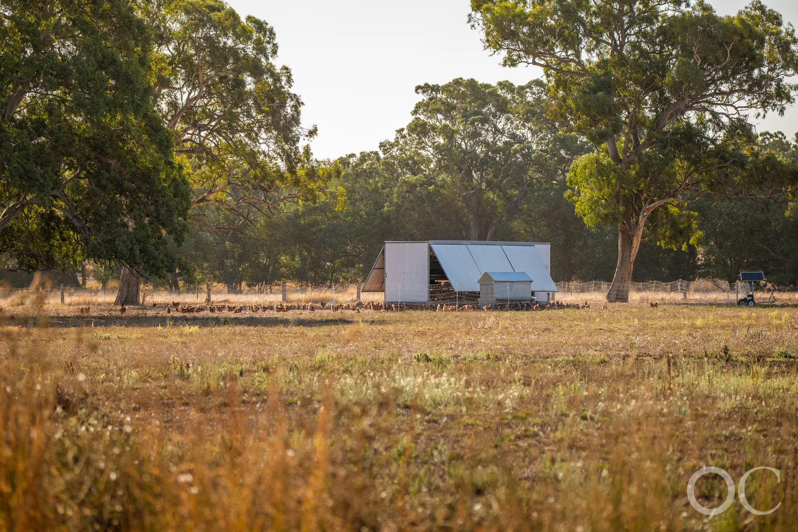 Additional image 24 of 30 Brookman Road, Meadows SA 5201