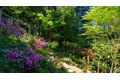 Additional image 70 of 5 Viox Way, San Rafael, CA, 94901