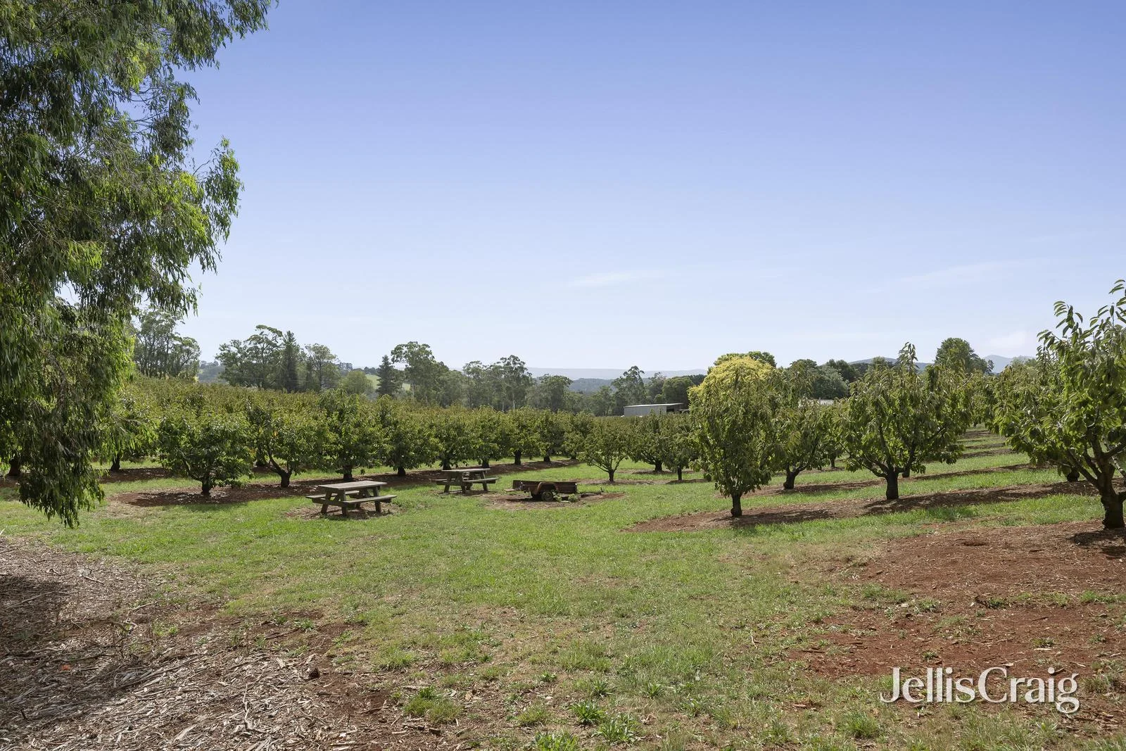 Additional image 24 of 56 Monbulk-Seville Road, Seville VIC 3139